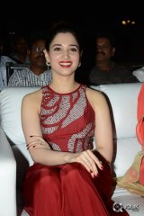 Tamannaah at Bengal Tiger Movie Triple Platinum Disc Function